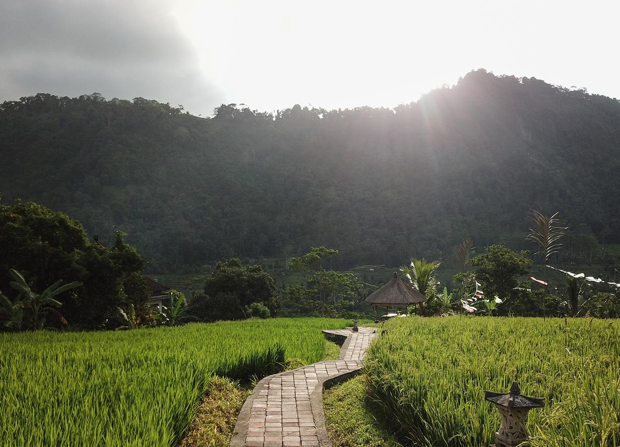 Embang Homestay Sidemen  Exterior foto